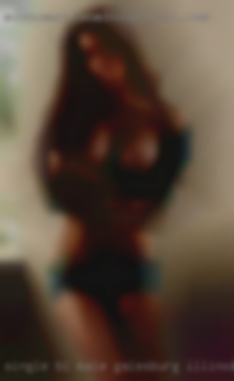 Single bi male seeking sexual Galesburg, Illinois fun.